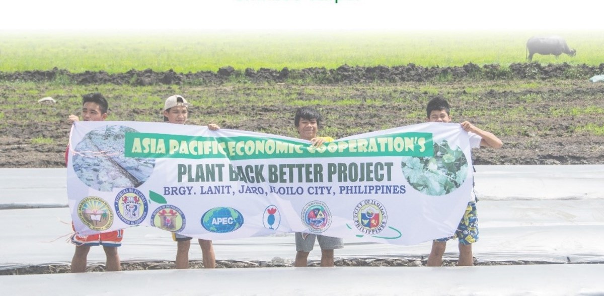 Plant Back Better (PBB) - Featured Image